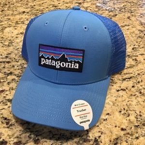 Blue Patagonia Logo Hat ($30)